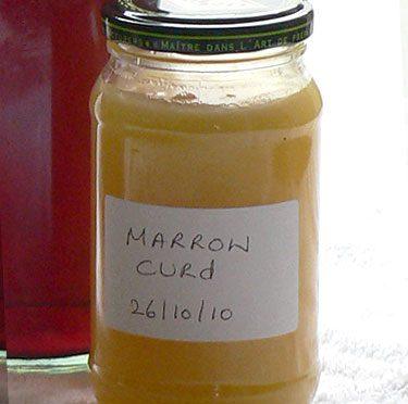 Autumn Curd