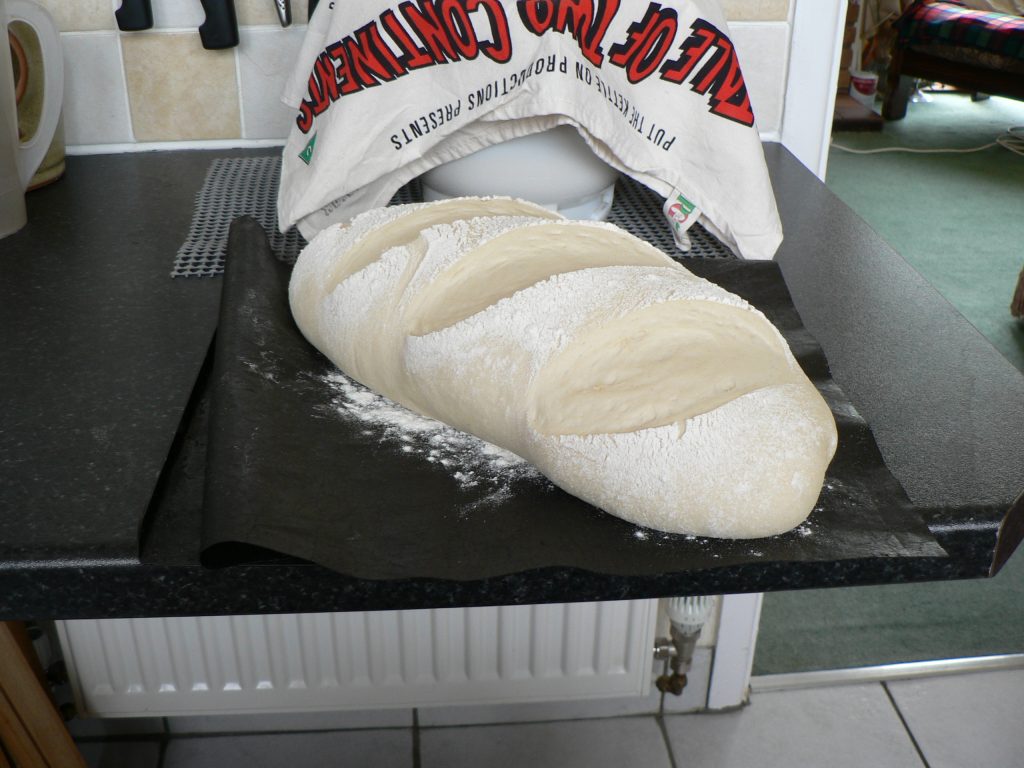 The bloomer loaf after rising again - ready for the oven.